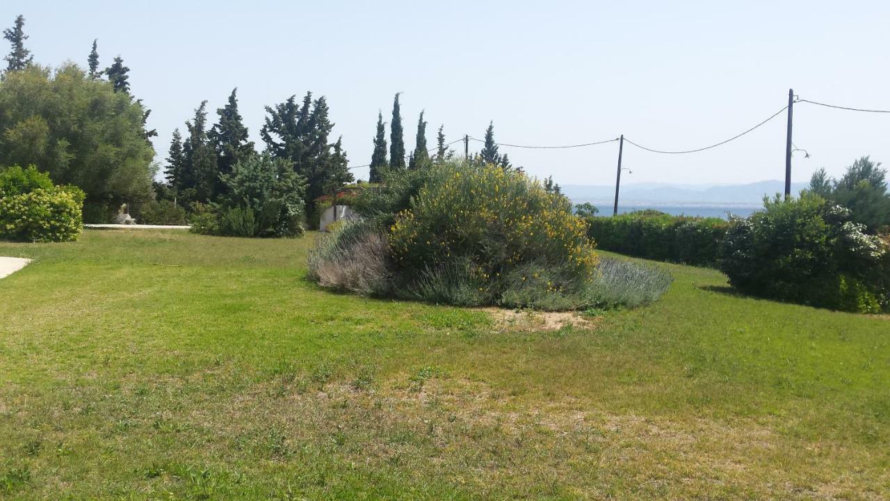 Beautiful House By The Sea,Loutraki Skaloma. Villa Eksteriør billede